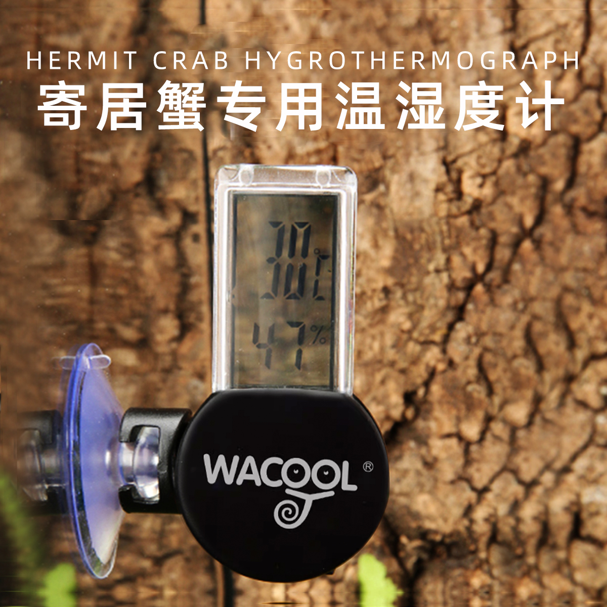 寄居蟹迷你温湿度计～小饲养盒适用家用精准高精度爬宠电子