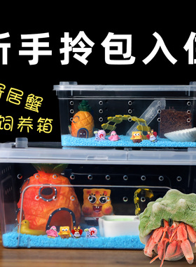 【寄居蟹饲养套餐套装】新手饲养 豆丁饲养盒 儿童礼物桌面宠物