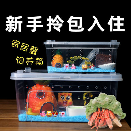 【寄居蟹饲养套餐套装】新手饲养 豆丁饲养盒 儿童礼物桌面宠物