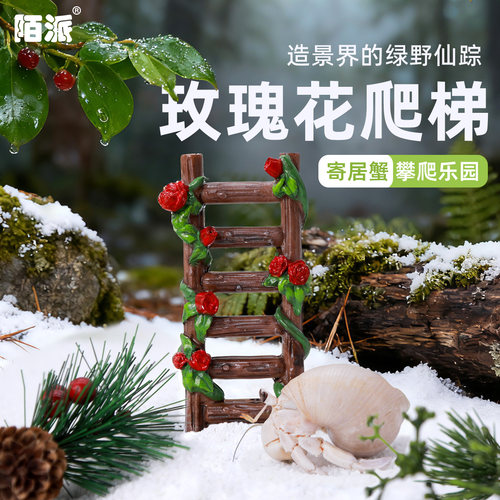 寄居蟹森系攀爬梯子～多风格玫瑰树脂爬梯百搭造景水盆蜕皮桶搭档