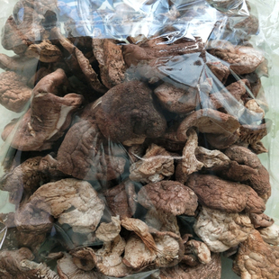 张家口口蘑纯野生蘑菇坝上张北特产 杨树林口蘑 干货食用菌农产品