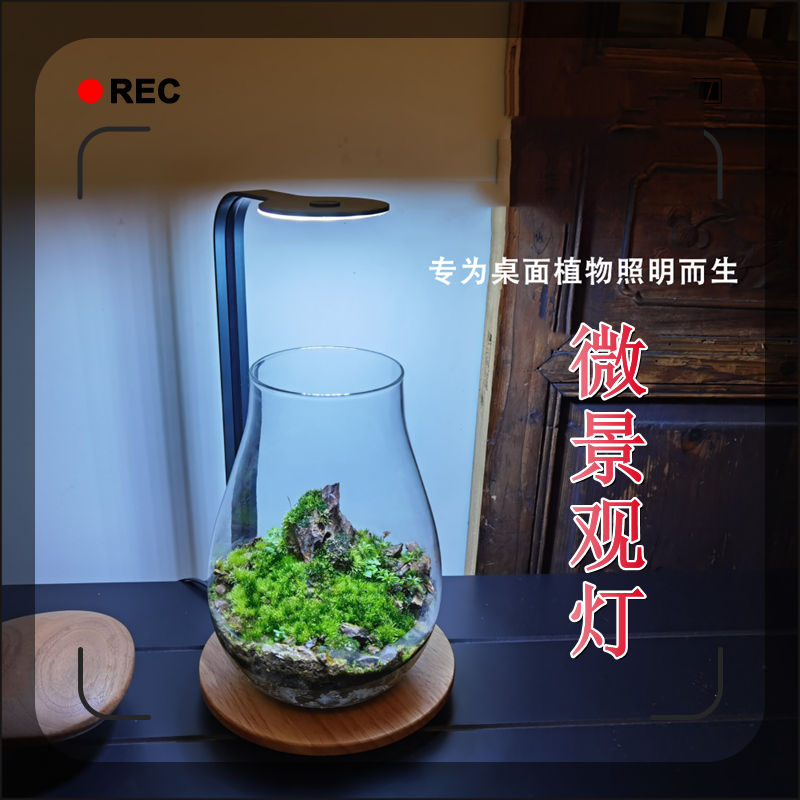 微景观补光灯 苔藓灯 造景灯 桌面微景观 专为植物照明而生