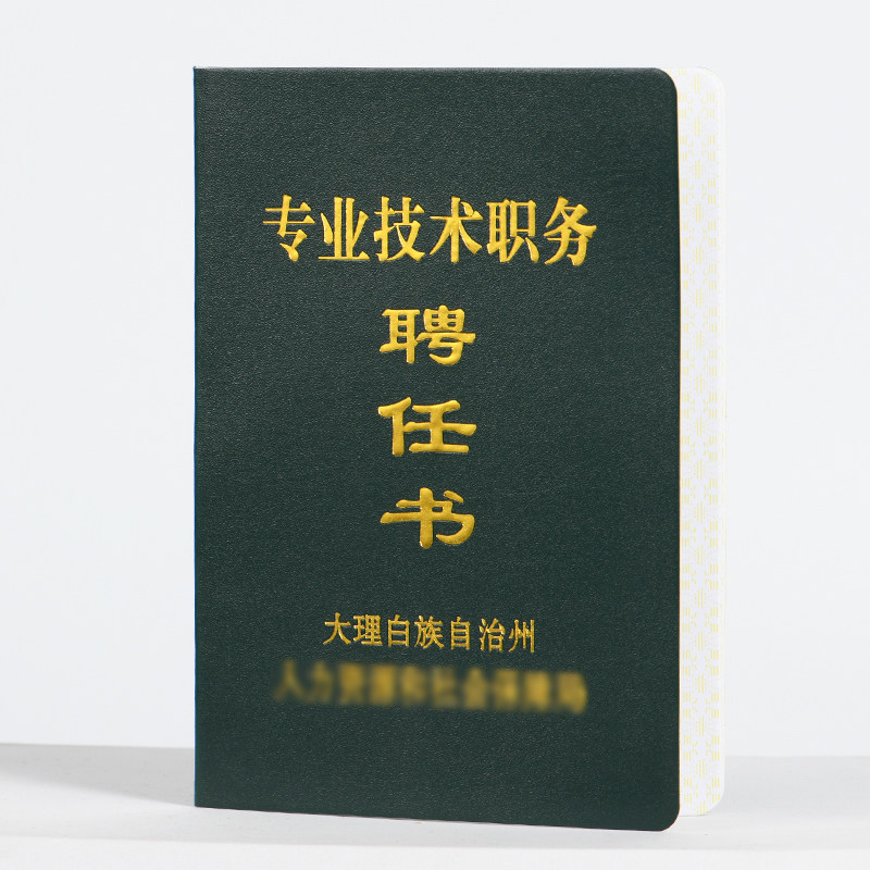大理白族自治专业技术职务聘任书安徽聘用评职称证明河南医护聘书