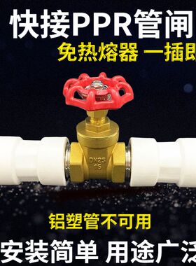 ppr快接闸阀PE黄铜加厚总阀门免热熔开关4分20快插6分25快速接头