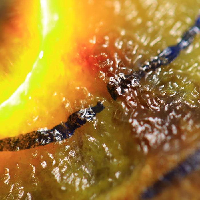 翡翠原石 f454 3.8千克 大马坎 老场口 冰红雾 种老 肉细