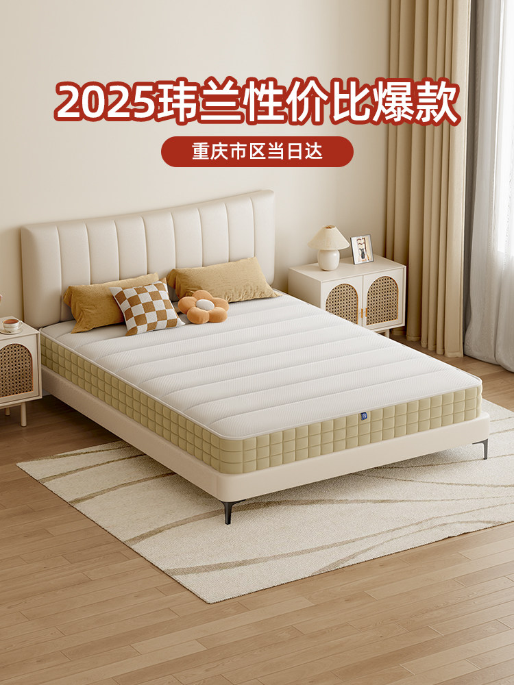 Cymbidium床垫乳胶家庭卧室席梦思20厘米椰子棕榈海绵独立袋弹簧