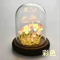 Цветная лилия легких ночных огней (стеклянная крышка в форме u)