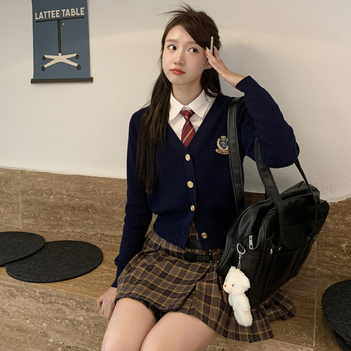 针织刺绣学院风可爱毛衣