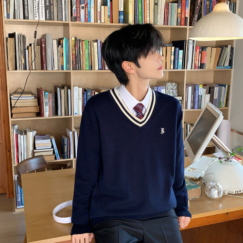 V领套头毛衣男长袖学院风休闲