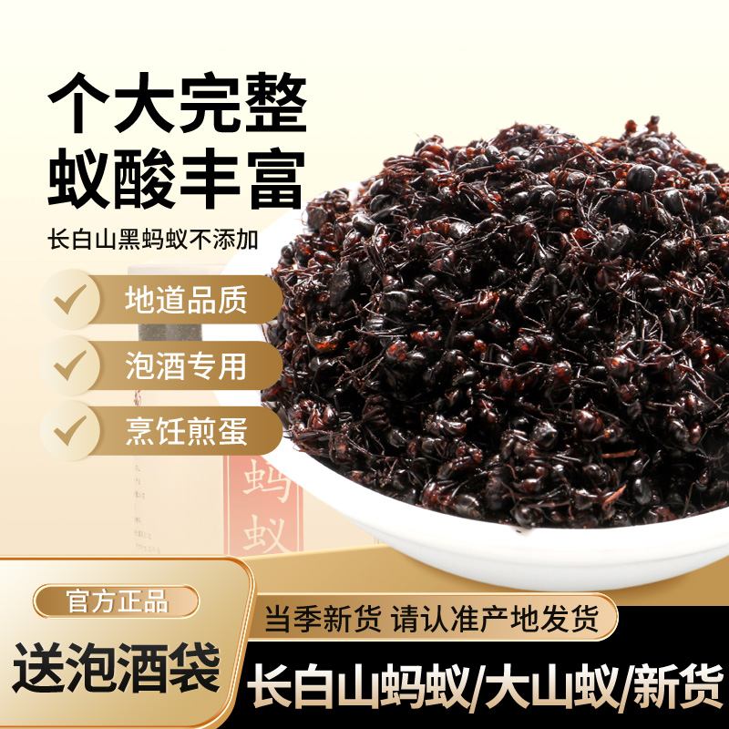 黑螞蟻長白山大山蟻螞蟻粉螞蟻干