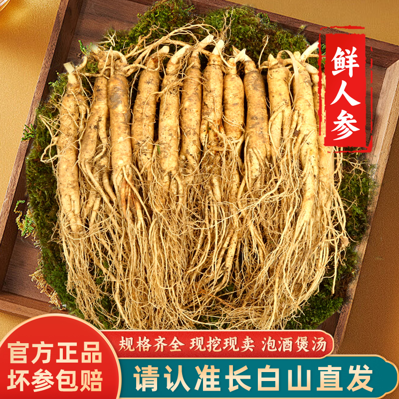 鲜人参长白山人参新鲜人参东北鲜参1支整支泡酒煲汤带土现挖现卖