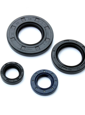 适用YAMAHA XT125 XT125R XT-X XTZ YBR YBX TT-R 125cc 全套油封