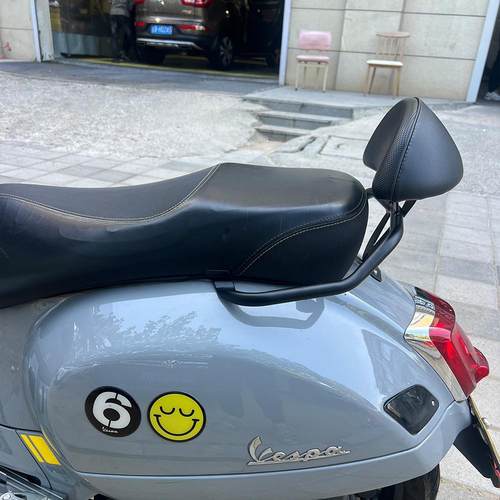 适用春天冲刺150GTS300后靠背