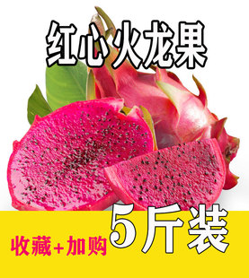新鲜红心火龙果5斤装包邮越南进口水果非白心火龙果红肉