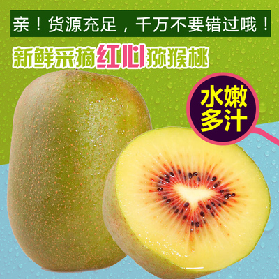 应季水果食用浦江现摘红心猕猴桃