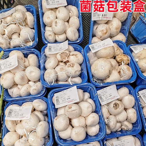 香菇菌菇打包盒一次性塑料果蔬蓝色无盖正方形加厚防损水果包装盒