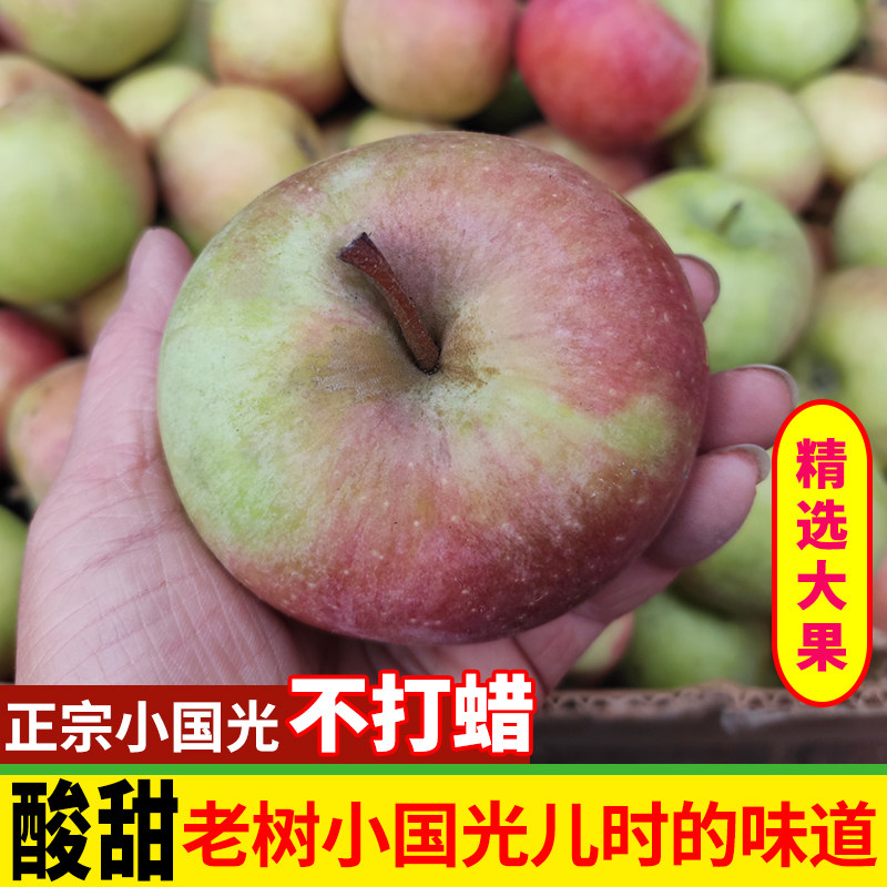 精选正宗东北小国光5斤特产酸甜老式绿丑苹果孕妇老人新鲜水果