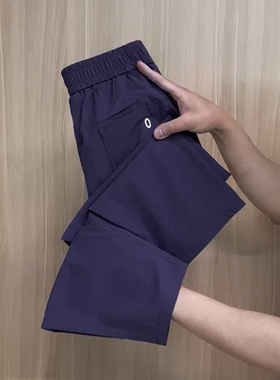 紫色休闲哈伦裤女夏季薄款弹力透气显瘦减龄百搭九分萝卜小脚裤