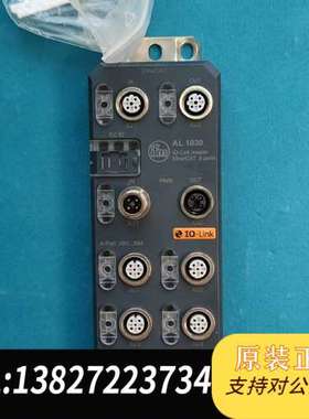 IFM模块AL1030