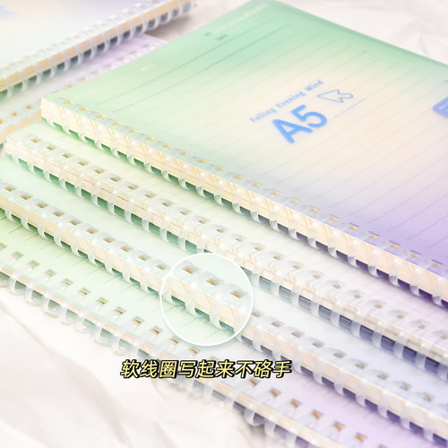 伊莎儿简约PP学生笔记本软线圈