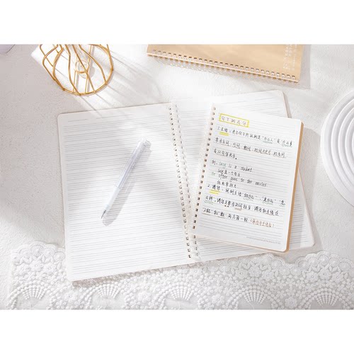 伊莎儿PP记事本16KA5可撕线