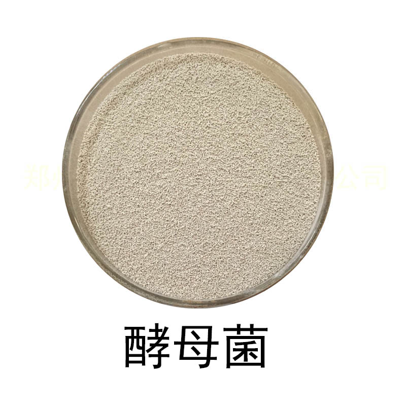 牛羊饲料添加剂酿酒酵母发酵菌