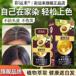 【旗舰】植物染发剂牛油果鲜果植萃精华果染膏自己在家染发遮白发