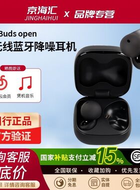 LinkBudsOpen开放式蓝牙耳机