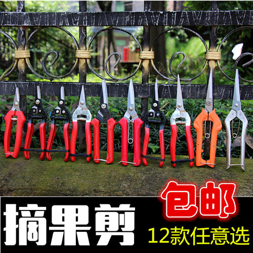 葡萄桔子修枝园艺工具神器摘果剪