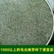 毛尖碎茶沫2026新茶沫信阳毛尖绿茶沫茶馆大碗茶500g 干净茶沫