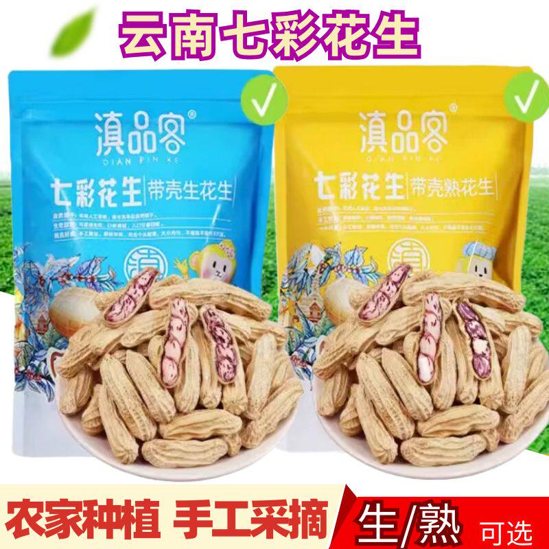 云南特产七彩花生滇品客野地农家新货晒干带壳生熟彩色花生米原味