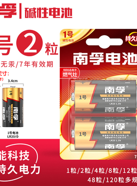 南孚 电池 1号 大号 LR20 SIZE D 1.5V 高性能 碱性 干电池 适用于 煤气灶 燃气灶 热水器 南孚磁吸测电器