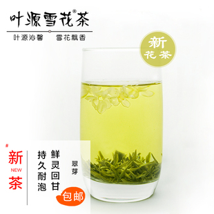 叶源雪花茶2025新伏天茉莉花茶浓香型持久耐泡茶叶 翠芽250g袋装