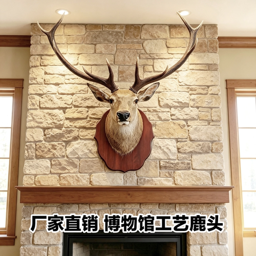 真鹿头真鹿角正品壁挂鹿真皮毛真鹿角鹿角多款型号所拍即所得装饰