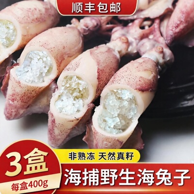 【顺丰到家】海兔子满籽新笔管鱼带籽海兔海鲜鲜冻全籽籽乌小鱿鱼
