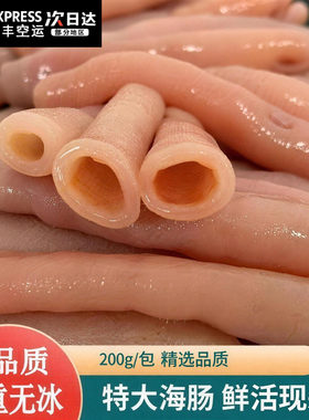 【顺丰空运】新鲜海肠新鲜冷冻海肠子冻海肠皮海鲜水产三去免处理