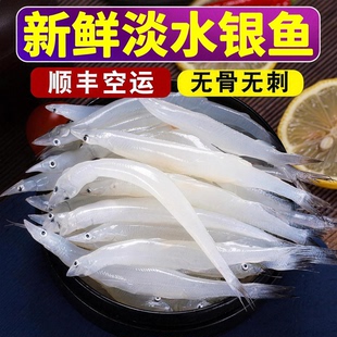 【顺丰到家】淡水银鱼新鲜海鲜水产冷冻面条鱼白饭鱼鱼类辅食银鱼
