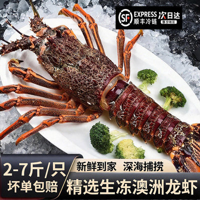【顺丰到家】速冻澳洲龙虾大澳龙红龙特大奥龙大波龙海鲜水产冻虾