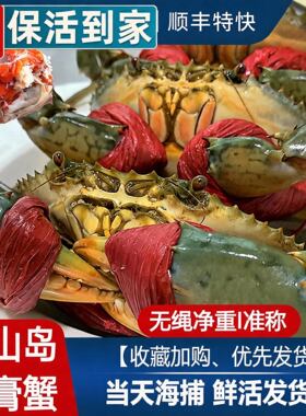 【顺丰到家】青蟹鲜活特大全母红膏蟹海螃蟹大红鲟母蝤蠓年货礼盒