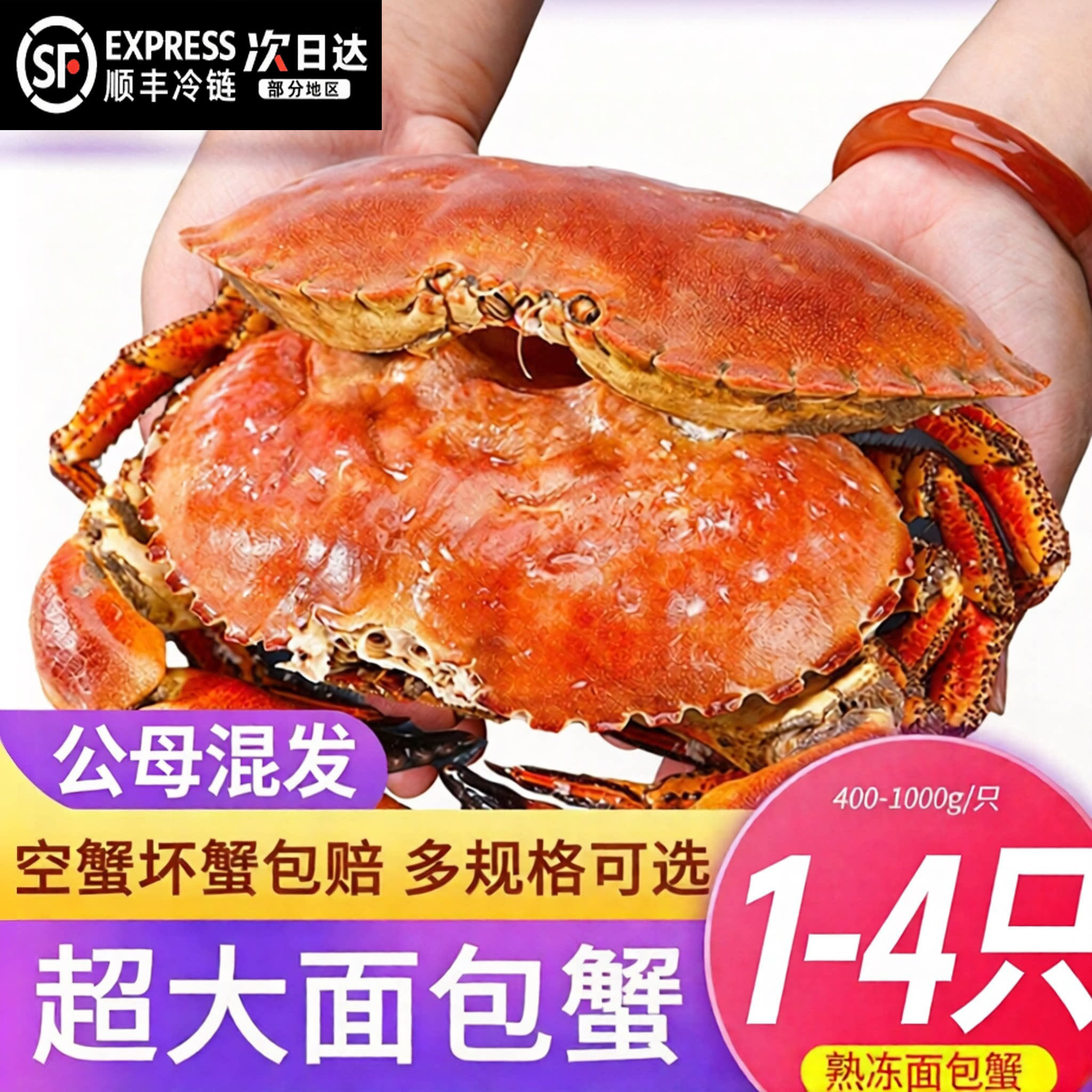 【顺丰到家】面包蟹新鲜熟冻大螃蟹海蟹新鲜海鲜水产黄金蟹珍宝蟹
