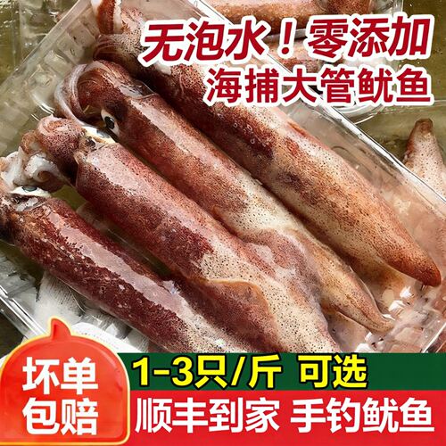 【顺丰到家】手钓大鱿鱼新鲜冷冻水产品火箭鱿鱼大管透抽枪大尾鱿