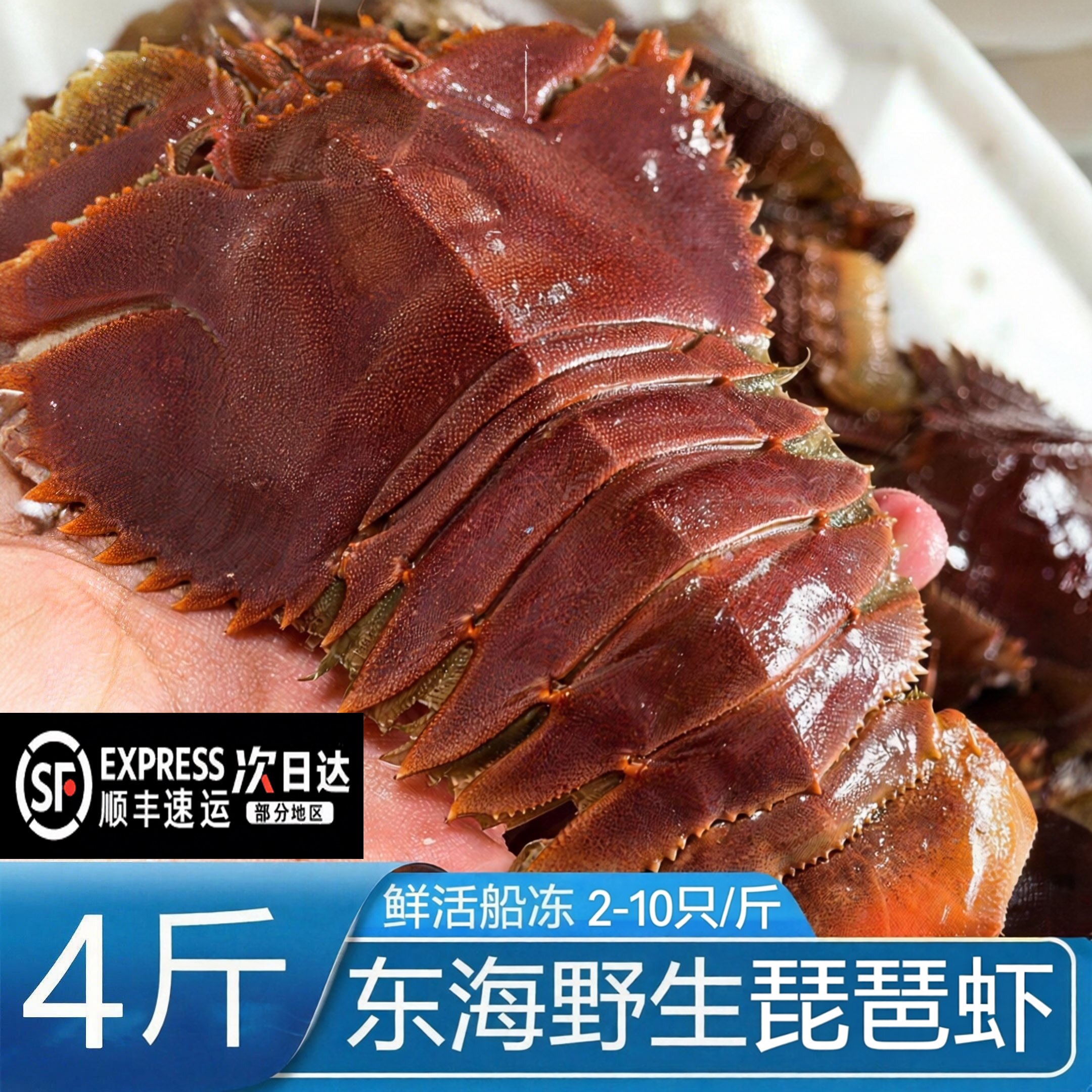 【顺丰到家】琵琶虾新鲜九齿扇虾海鲜虾姑特大濑尿虾鲜活冷冻爬虾