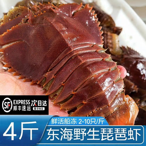 【顺丰到家】琵琶虾新鲜九齿扇虾海鲜虾姑特大濑尿虾鲜活冷冻爬虾