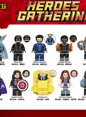 X教授光照会奇异博士第三方人仔儿童男孩积木益智拼装玩具X0338