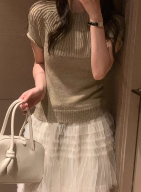 短袖卡其色上衣针织衫套头百搭韩系春秋新款女装G1817