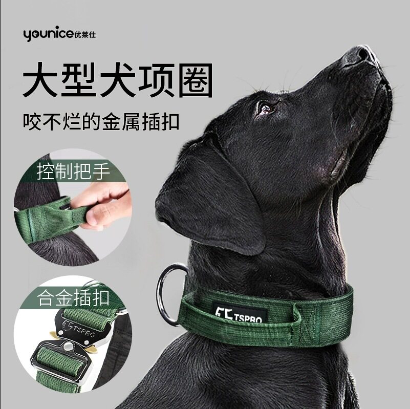 狗狗战术项圈防爆冲弹力缓冲牵引绳把手项圈中大型犬猛犬颈圈脖圈
