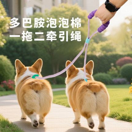 狗狗双扣牵引绳一拖二宠物牵引绳云感不勒手防爆冲中小型犬遛狗绳
