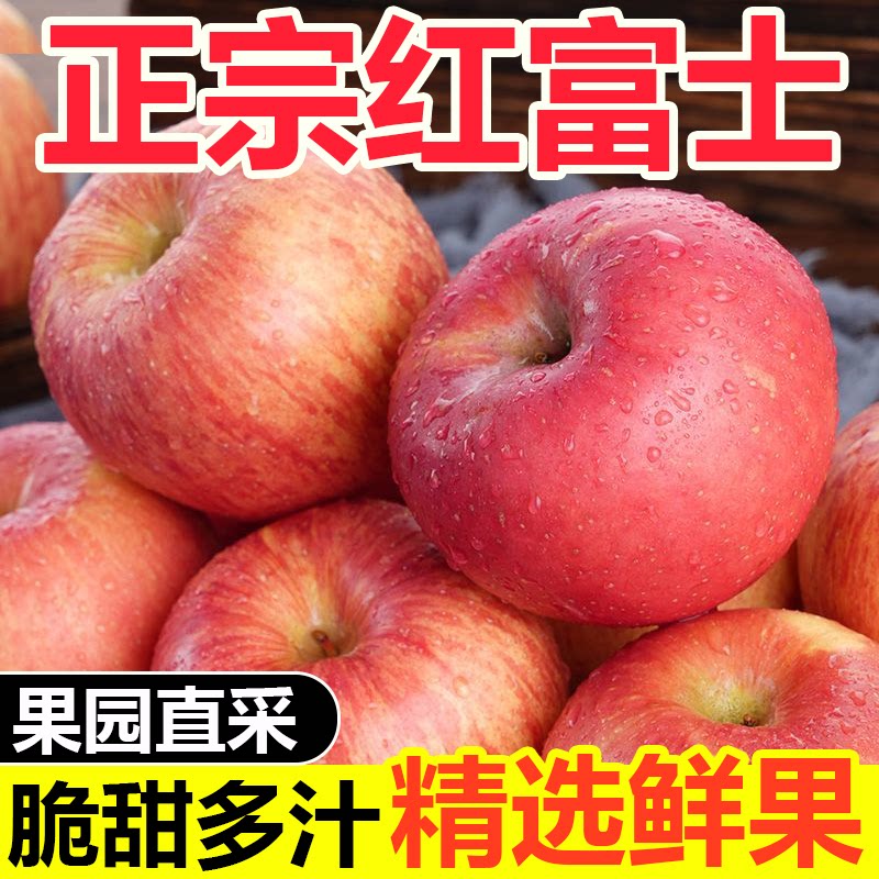 正宗山东烟台红富士苹果水果新鲜现摘当季红富士冰糖心脆甜丑苹果