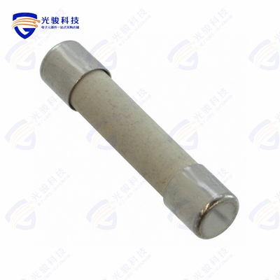 GSA 500-R《FUSE CERM 500MA 250VAC 3AB 3AG》
