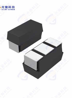 TR3W107K025C0100《CAP TANT 100UF 10% 25V 2924》